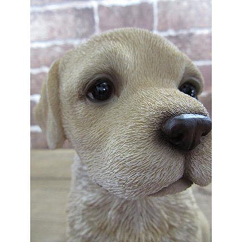 Amazon.co.jp: 東洋石創 ドッグオーナメント(ラブラドール